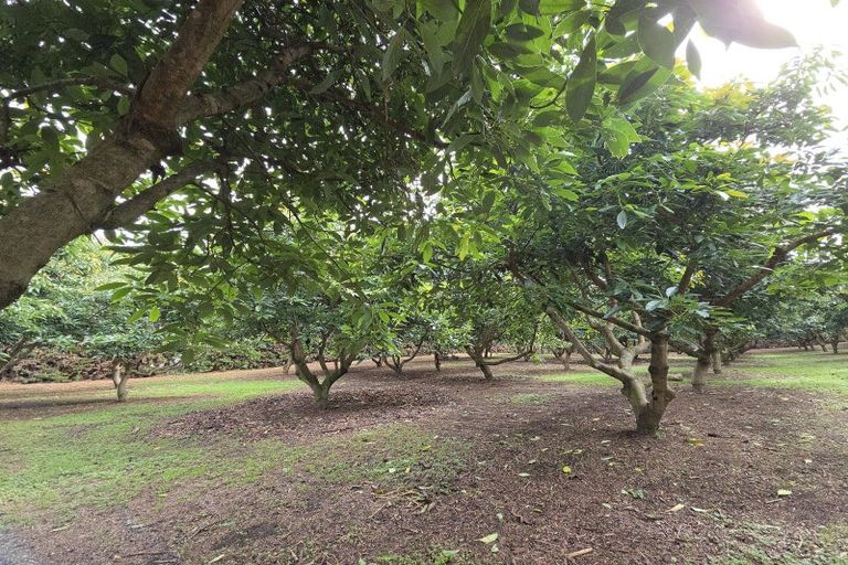 Photo of property in 244 Beach Road, Katikati, 3178