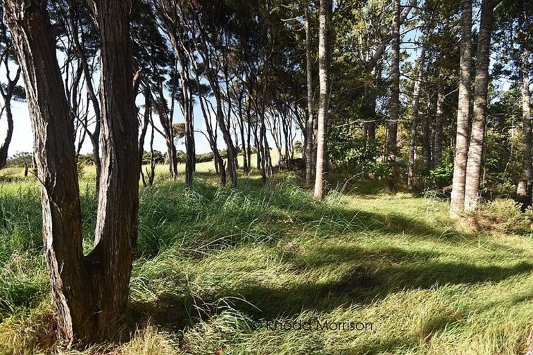 Photo of property in 14 Te Wairoa Lane, Tinopai, 0593