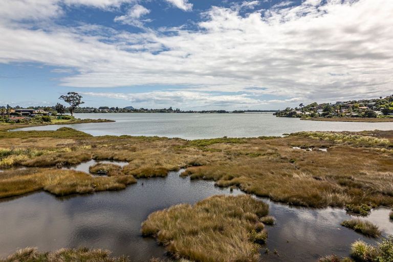Photo of property in 37 Hinaki Street, Poike, Tauranga, 3112