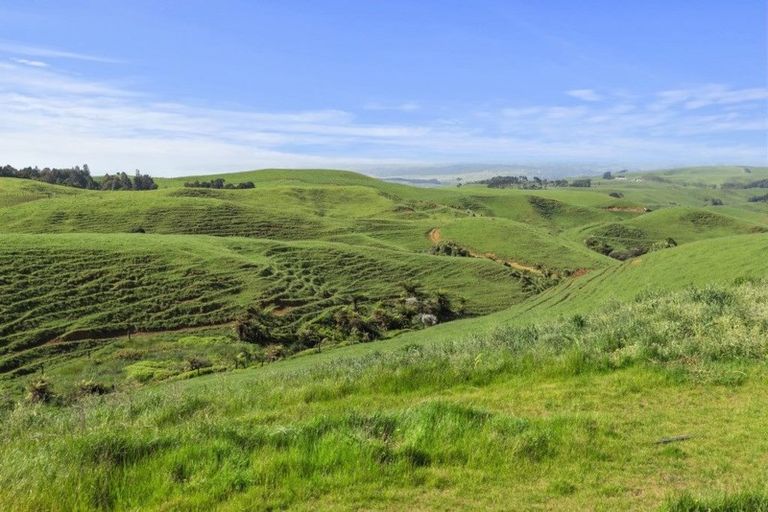 Photo of property in 712a Te Hutewai Road, Raglan, 3296
