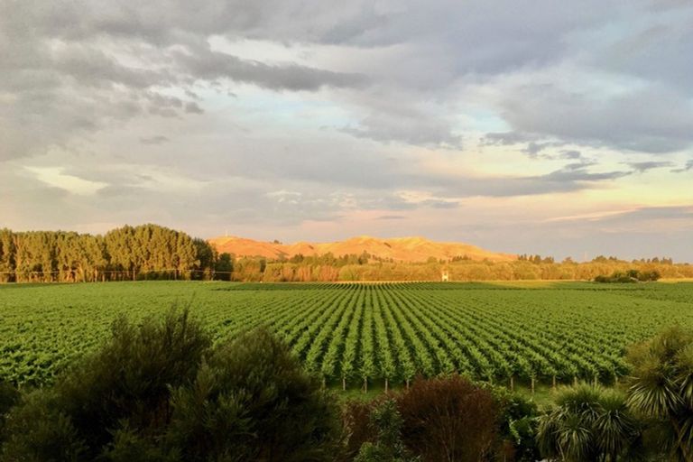 Photo of property in Beckenridge Lodge, 1 Breckenridge Lane, Puketapu, Napier, 4183