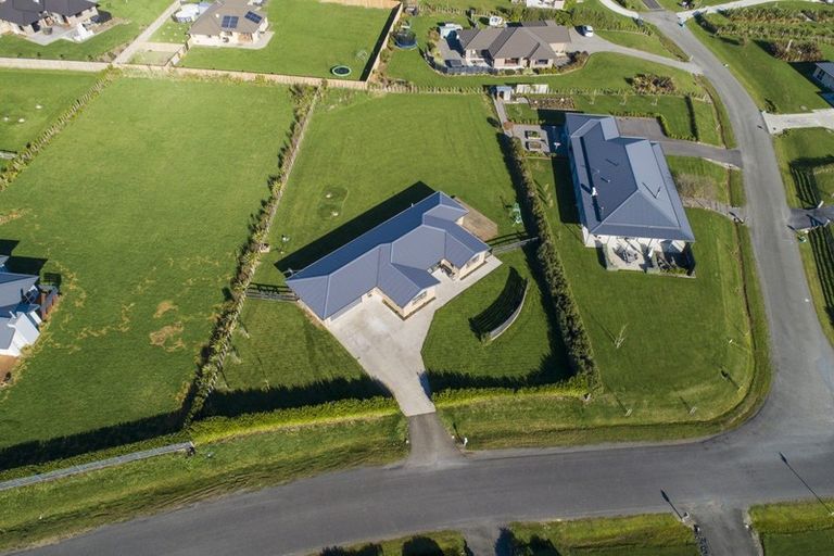 Photo of property in 9 Fallow Avenue, Feilding, 4775