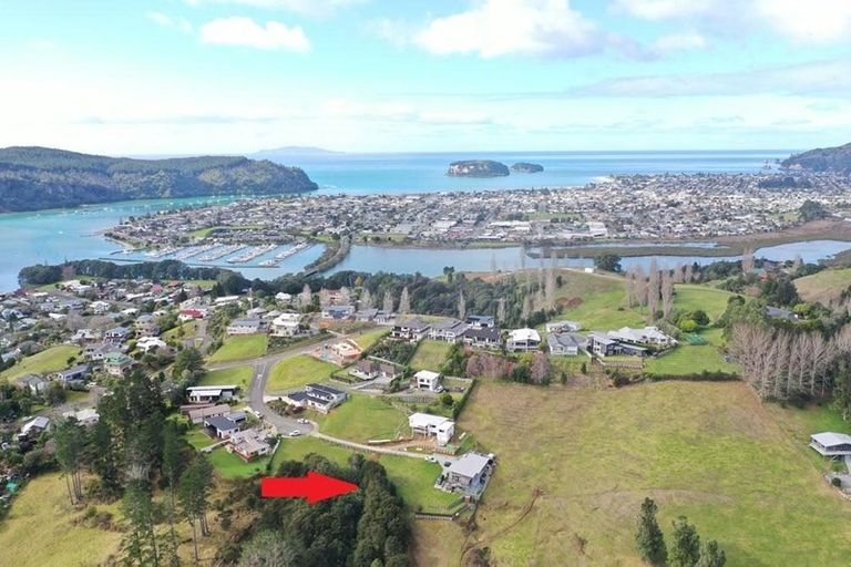 Photo of property in 115 Elsinore Close, Whangamata, 3620