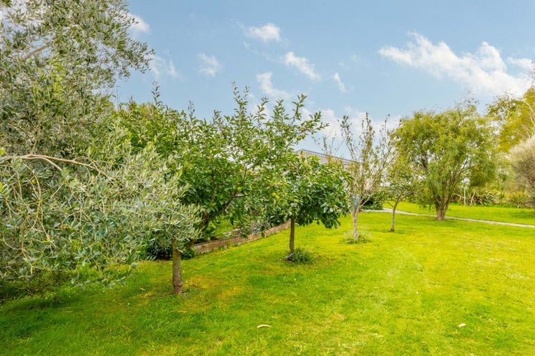 Photo of property in 219a Porangahau Road, Waipukurau, 4200