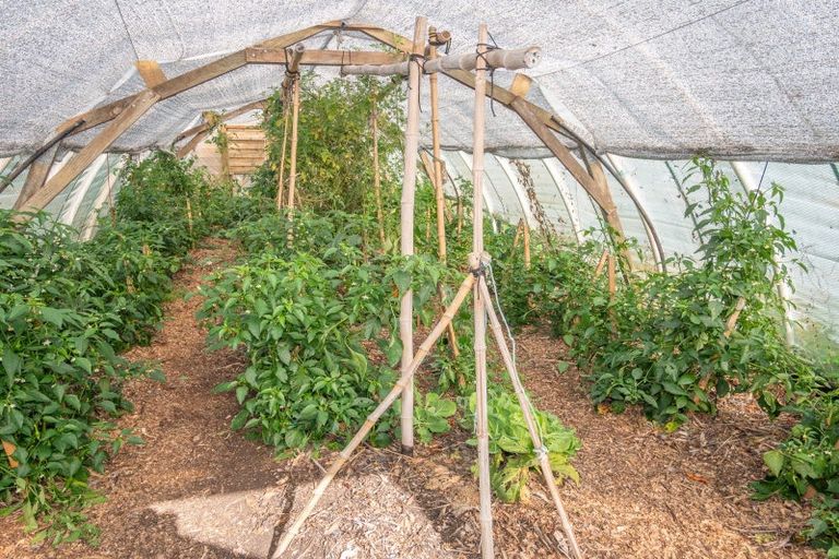 Photo of property in 1036 Taupo Bay Road, Taupo Bay, Mangonui, 0494