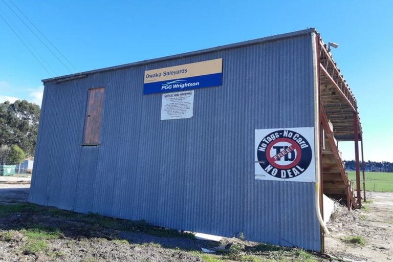 Photo of property in 42 Waikawa Road, Owaka, 9535