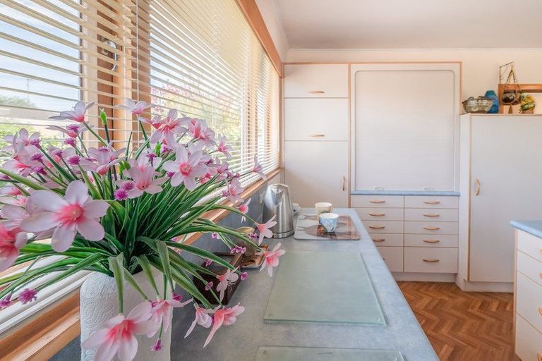 Photo of property in 31 Lindsey Crescent, Springvale, Whanganui, 4501