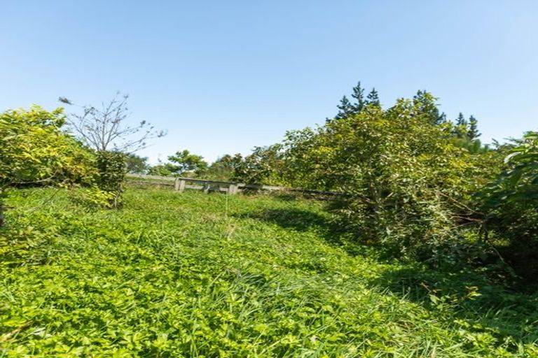 Photo of property in 121a Princes Street, Waikino, Waihi, 3682