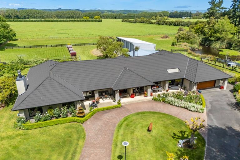 Photo of property in 41 Andrew Street, Kuripuni, Masterton, 5810