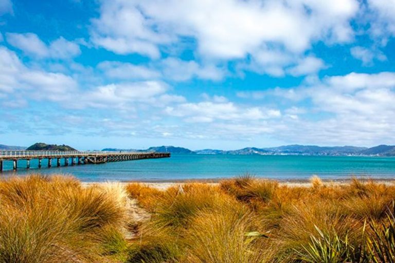 Photo of property in 21 Elizabeth Street, Moera, Lower Hutt, 5010