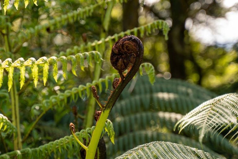 Photo of property in 246 Gray Road, Te Kamo, Kamo, 0185