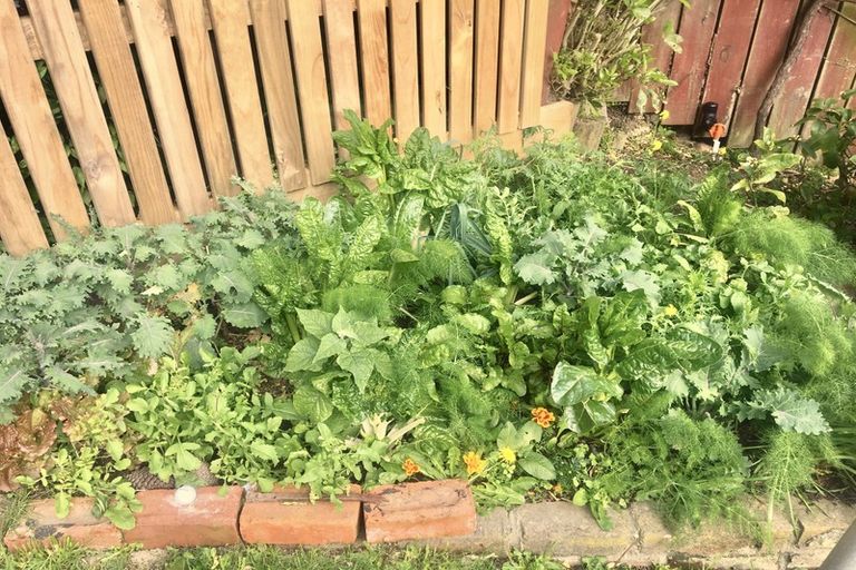 Photo of property in 40 Jackson Street, Island Bay, Wellington, 6023