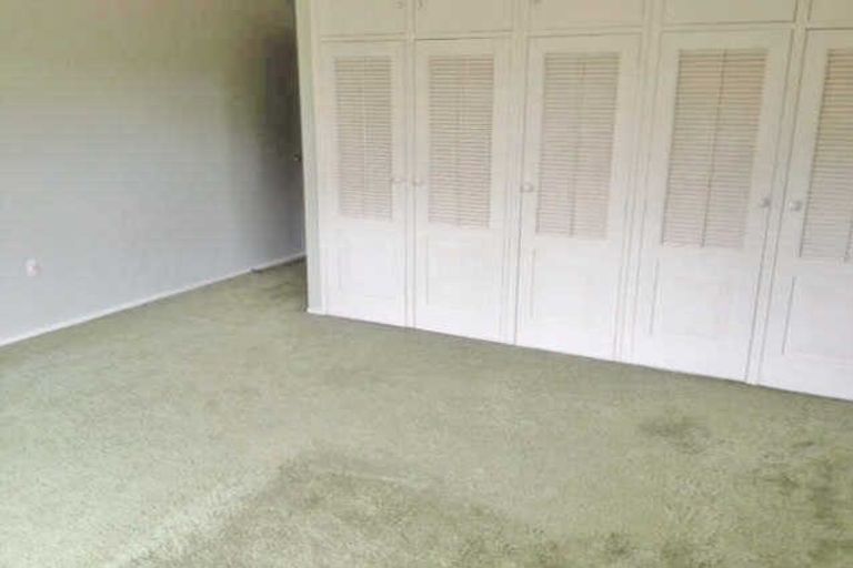 Photo of property in 77 Garreg Road, Bryndwr, Christchurch, 8052