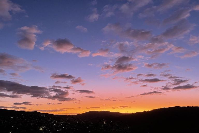 Photo of property in 33 Bedford Street, Northland, Wellington, 6012