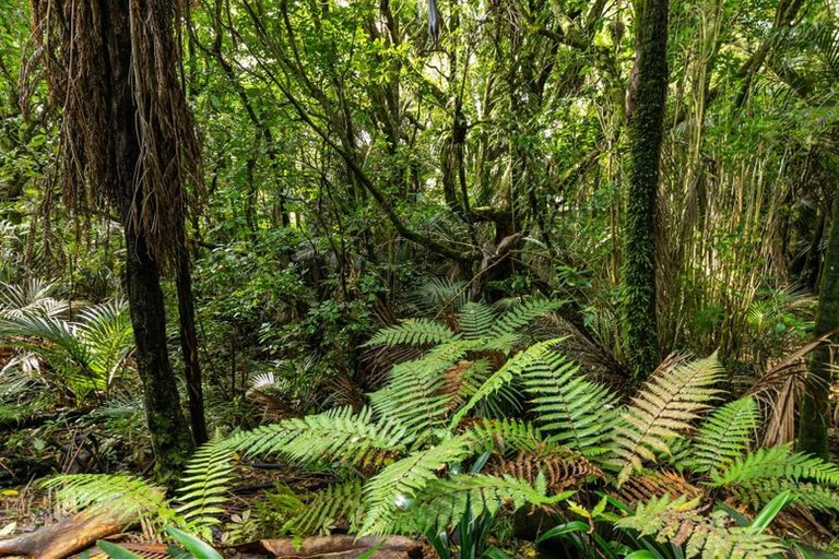 Photo of property in 812 West Coast Road, Oratia, Auckland, 0604