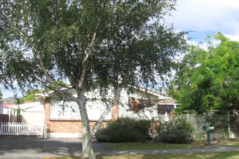 Photo of property in 17 Mcleod Street, Elderslea, Upper Hutt, 5018