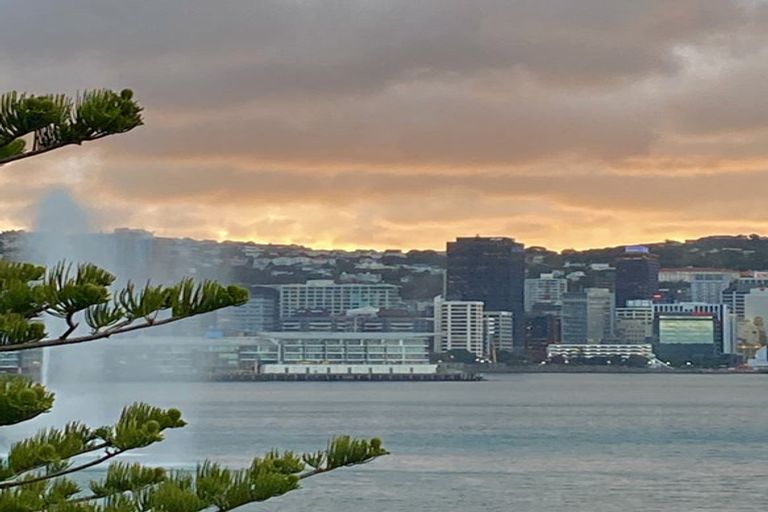 Photo of property in Inverleith Apartments, 3/306 Oriental Parade, Oriental Bay, Wellington, 6011