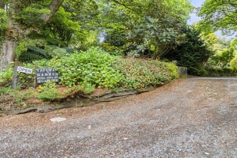 Photo of property in 488 Tapuwae Road, Maniaiti / Benneydale, Te Kuiti, 3987