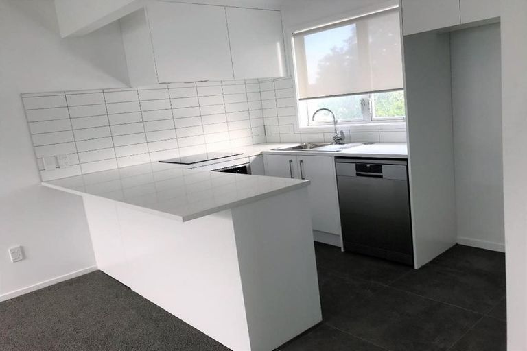 Photo of property in 8 George Street, Mount Eden, Auckland, 1024