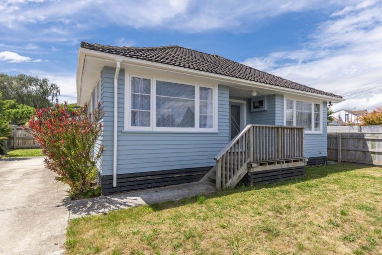 Photo of property in 18 Gordon Place, Levin, 5510