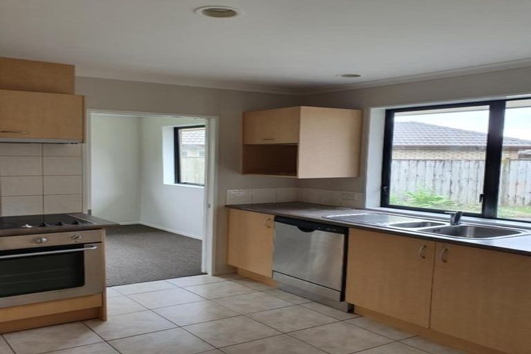 Photo of property in 47 Redcastle Drive, East Tamaki, Auckland, 2013