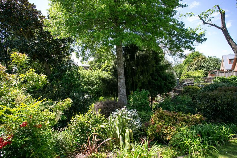 Photo of property in 185 Turere Lane, Te Awamutu, 3800