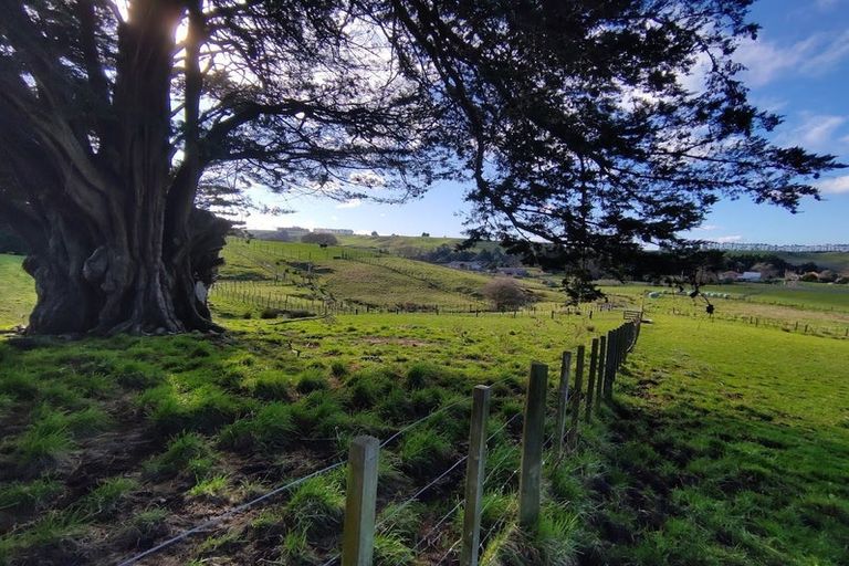 Photo of property in 546 Norsewood Ormondville Road, Ormondville, Dannevirke, 4977