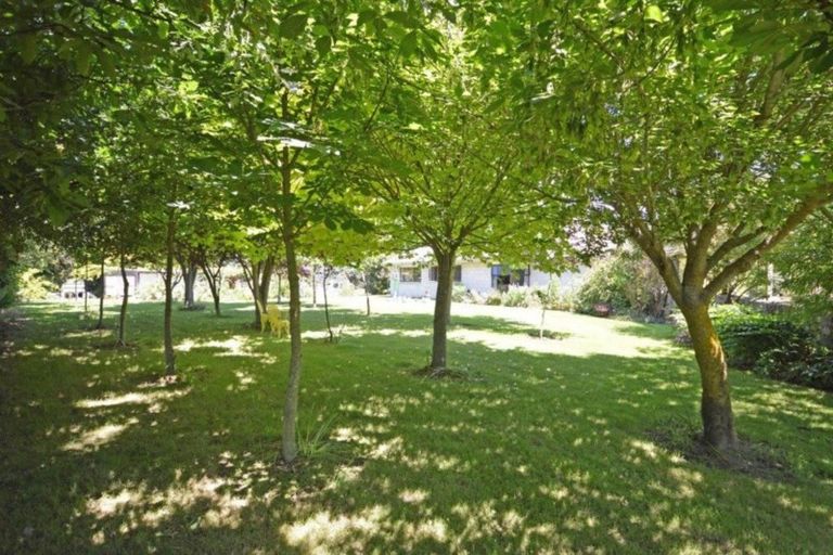 Photo of property in 56 Daniels Road, Normanby, Timaru, 7971