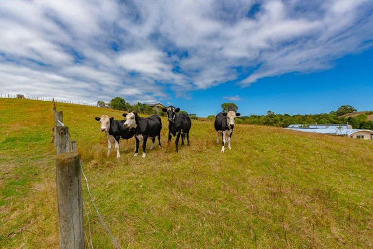 Photo of property in 14b Wairere Road, Waitakere, Henderson, 0782