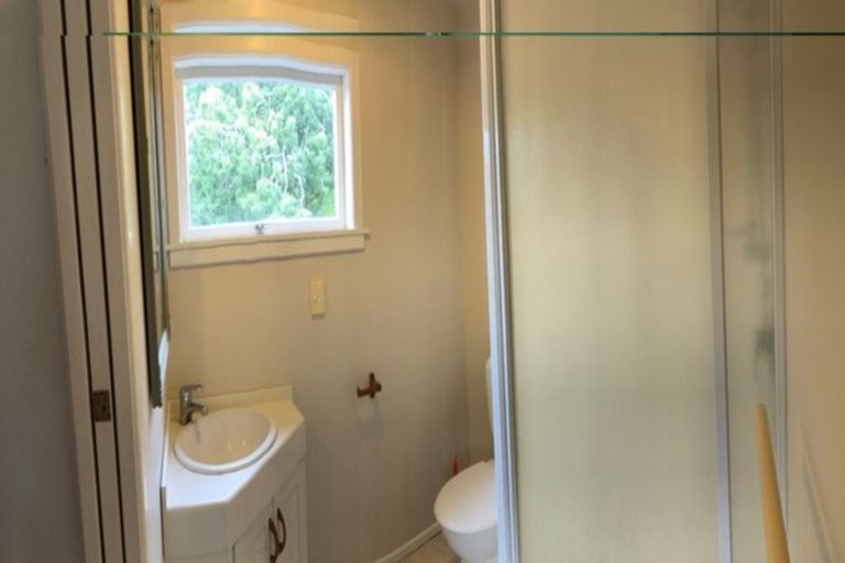 Photo of property in 219 Plummers Point Road, Whakamarama, Tauranga, 3172