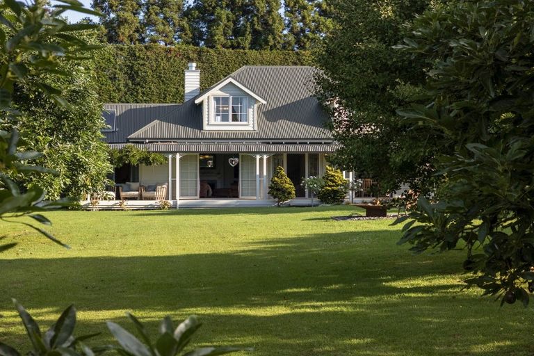 Photo of property in 241 Rea Road, Tahawai, Katikati, 3178