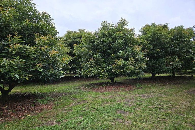 Photo of property in 400 Te Matai Road, Te Puke, 3188