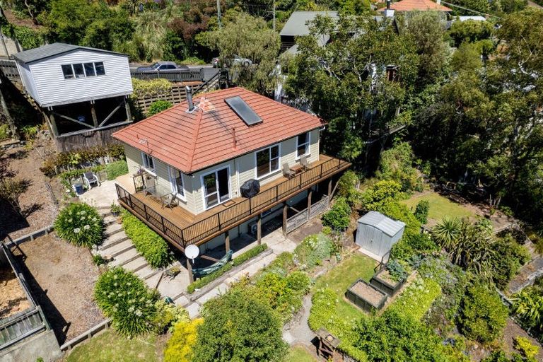 Photo of property in 141 Evans Street, Opoho, Dunedin, 9010