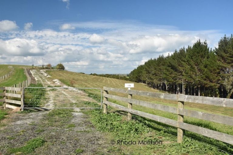 Photo of property in 196 Metcalfe Road, Matakohe, 0593