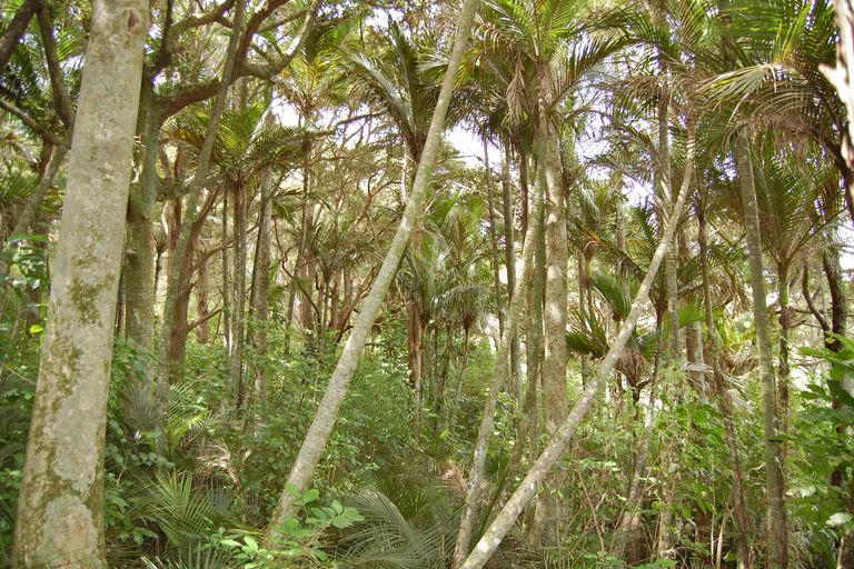 Photo of property in 280c Baldrock Road, Kaiwaka, Maungaturoto, 0587