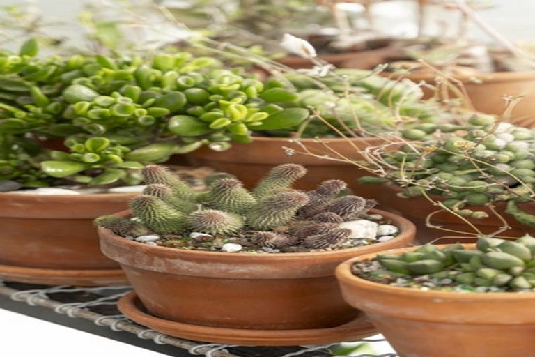 Photo of property in Liffey Village, 36/28 James Street, Lincoln, 7608