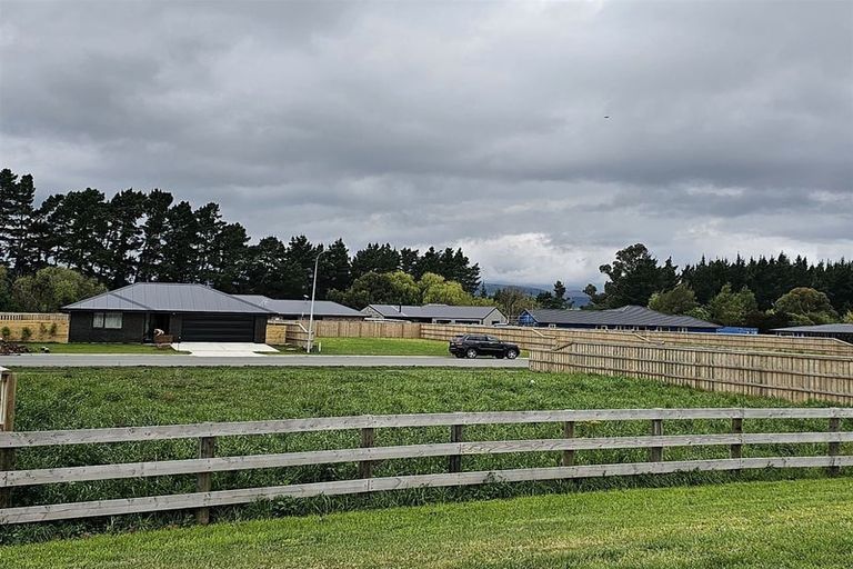 Photo of property in 18 Plover Avenue, Amberley, 7410