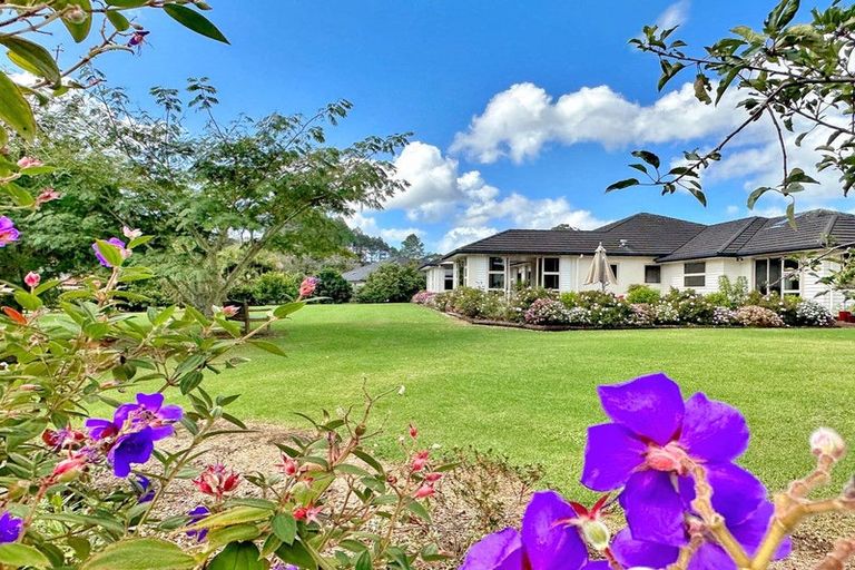 Photo of property in 19 Riverbank Drive, Kerikeri, 0230