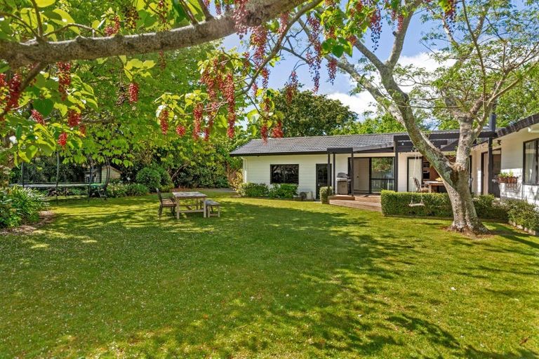 Photo of property in 232a Ormond Road, Mangapapa, Gisborne, 4010
