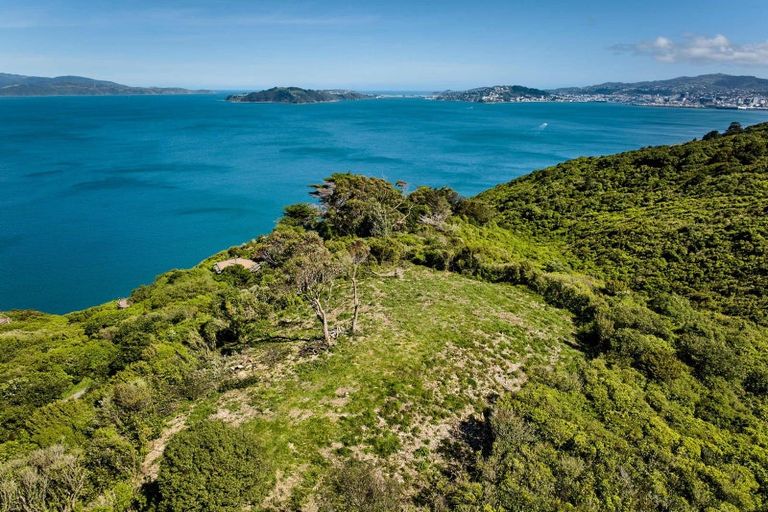 Photo of property in 50 Dungarvan Road, Newlands, Wellington, 6037