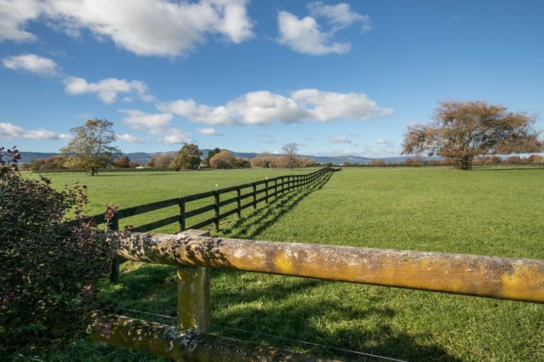 Photo of property in 25 Dame Cath Place, Matamata, 3400