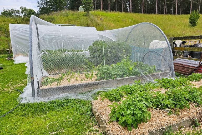 Photo of property in 569 Hakataramea Valley Road, Hakataramea, Kurow, 9498