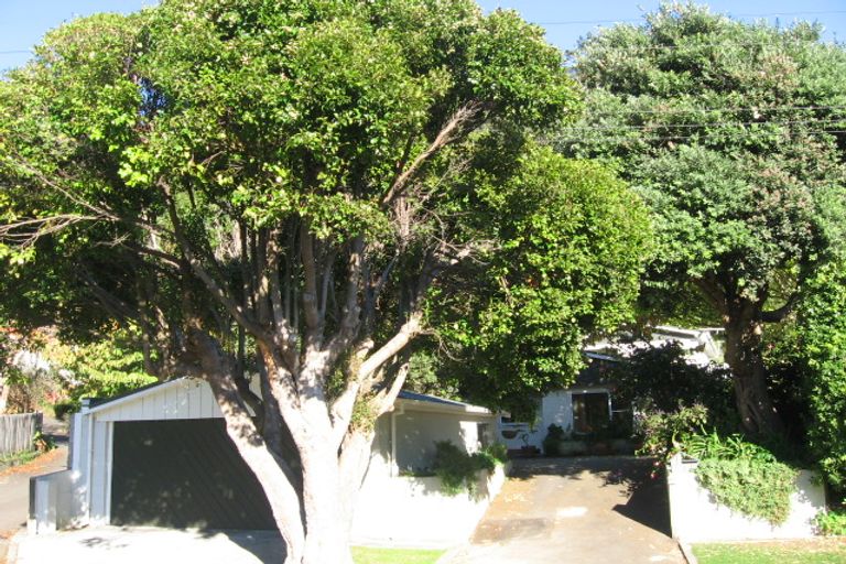 Photo of property in 6 Tawa Street, Eastbourne, Lower Hutt, 5013