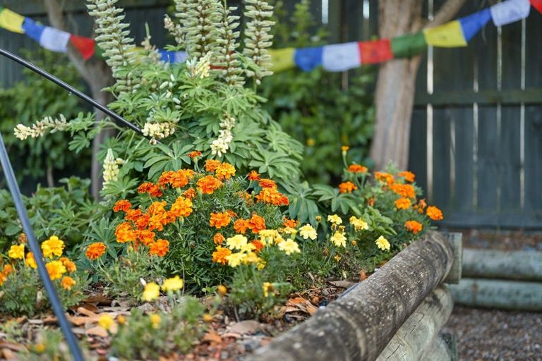 Photo of property in 71b Hall Street, Cambridge, 3434