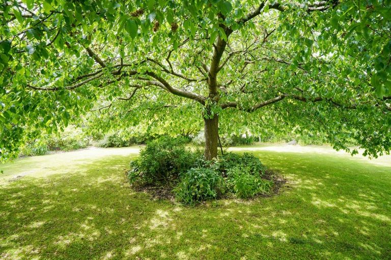 Photo of property in 75 Matua Road, Otatara, Invercargill, 9879