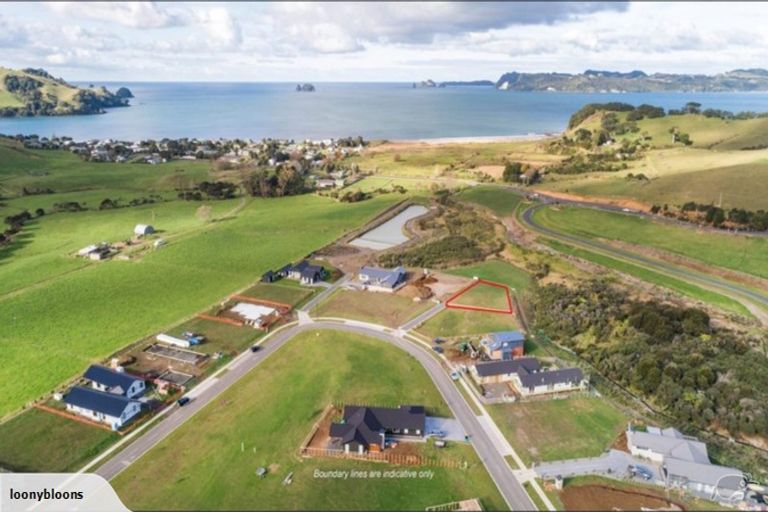 Photo of property in 14 Powhiri Place, Wharekaho, Whitianga, 3510