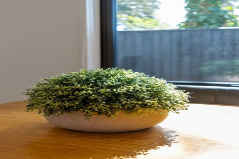 Photo of property in 32 Collies Road, Casebrook, Christchurch, 8051