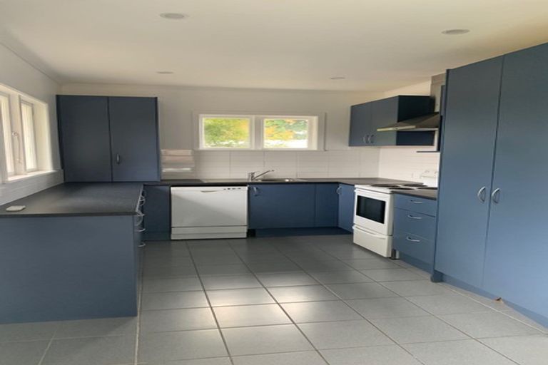 Photo of property in 48 Buscomb Avenue, Henderson, Auckland, 0610