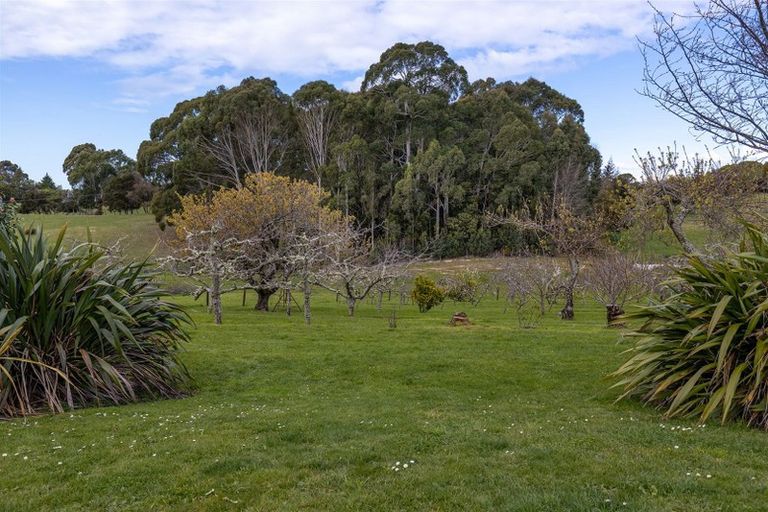 Photo of property in 382 Pomona Road, Tasman, Upper Moutere, 7173