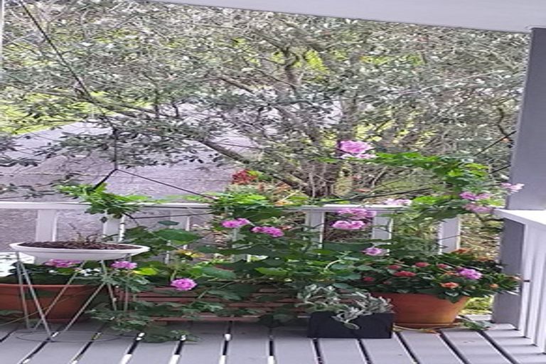 Photo of property in 22 Yorke Road, Haruru, 0204